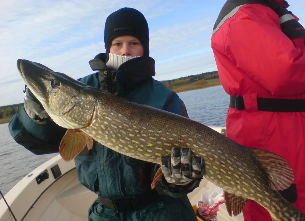 Northern Pike