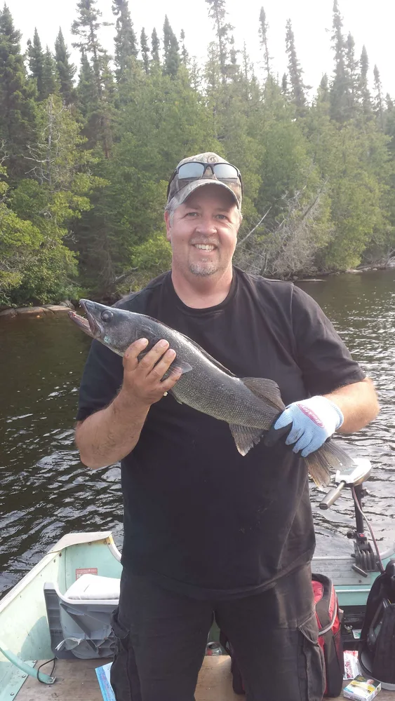 Walleye